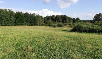 Działka rolna Stryjewo