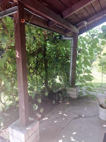 Działka rod Grójec, ul. Graniczna. Zdjęcie 18