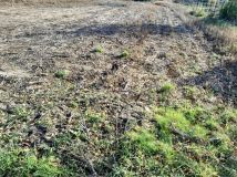 Działka budowlana Smolna. Zdjęcie 4