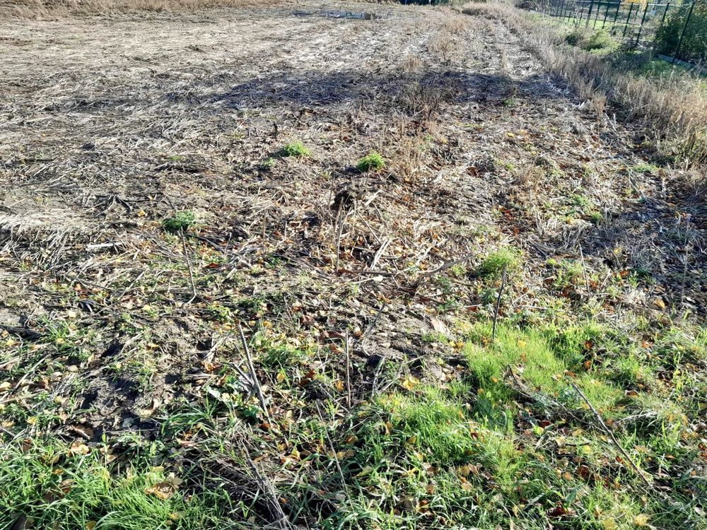 Działka budowlana Smolna. Zdjęcie 5