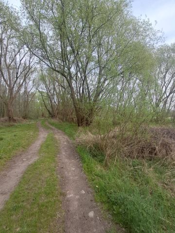 Działka budowlana Kalisz Rypinek, ul. Wał Piastowski. Zdjęcie 3