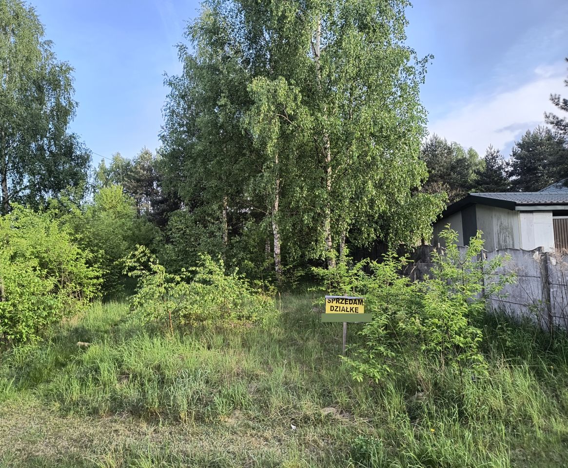 Działka budowlana Kodrąb, ul. Wincentego Witosa. Zdjęcie 2