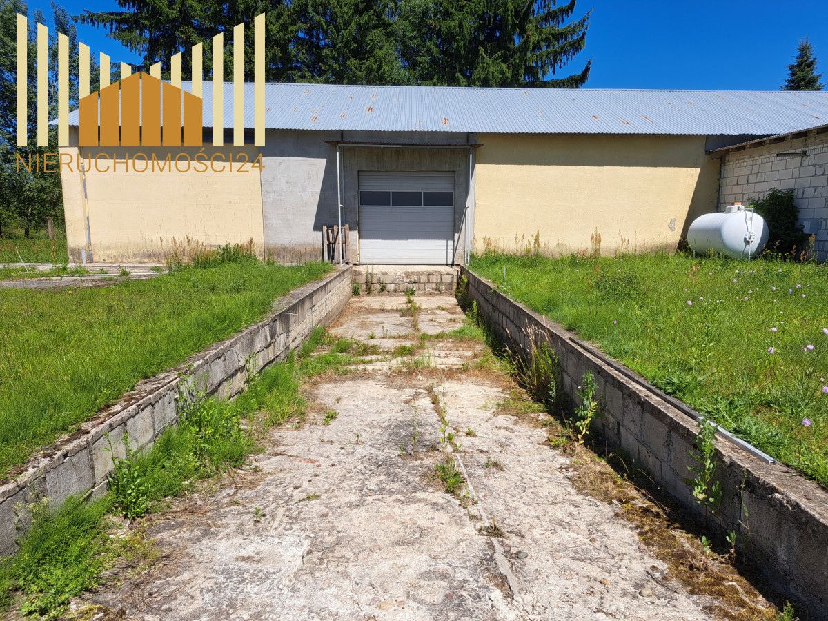 Lokal Dobre. Zdjęcie 21