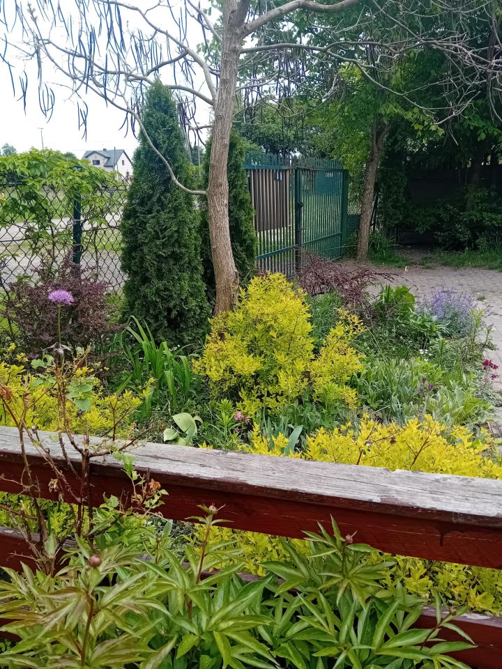 dom wolnostojący, 5 pokoi Rogów, ul. Kolejowa. Zdjęcie 4