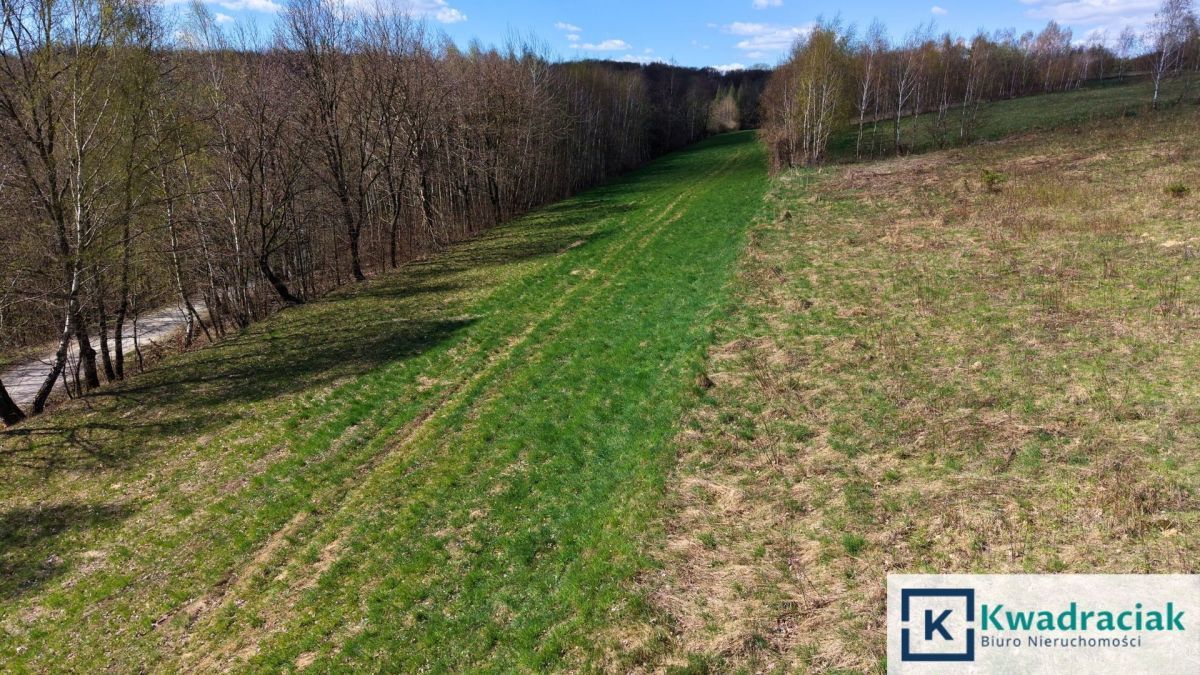 Działka rolna Lublica. Zdjęcie 8