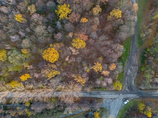 Działka inwestycyjna Jaroszów. Zdjęcie 5