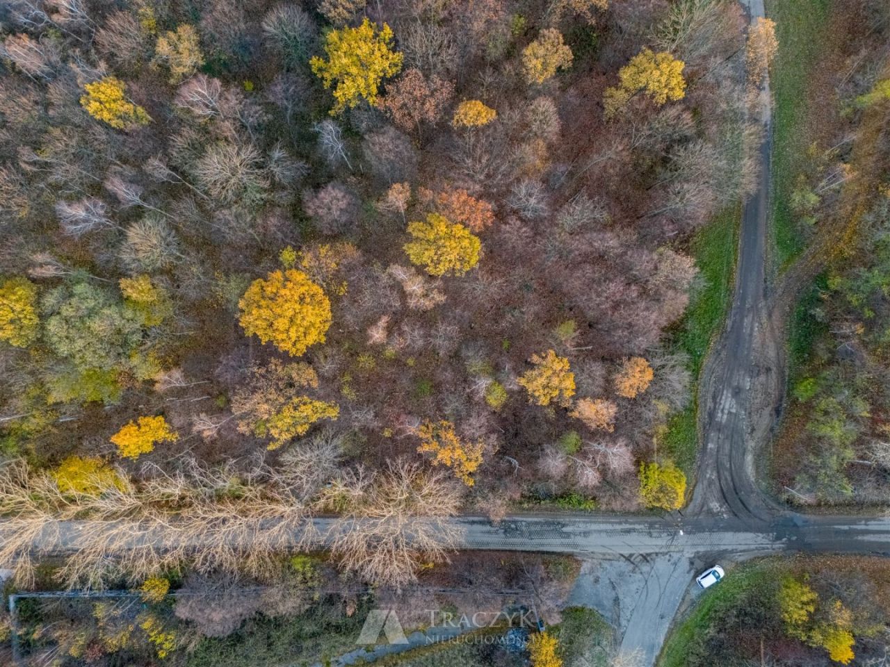 Działka inwestycyjna Jaroszów. Zdjęcie 5