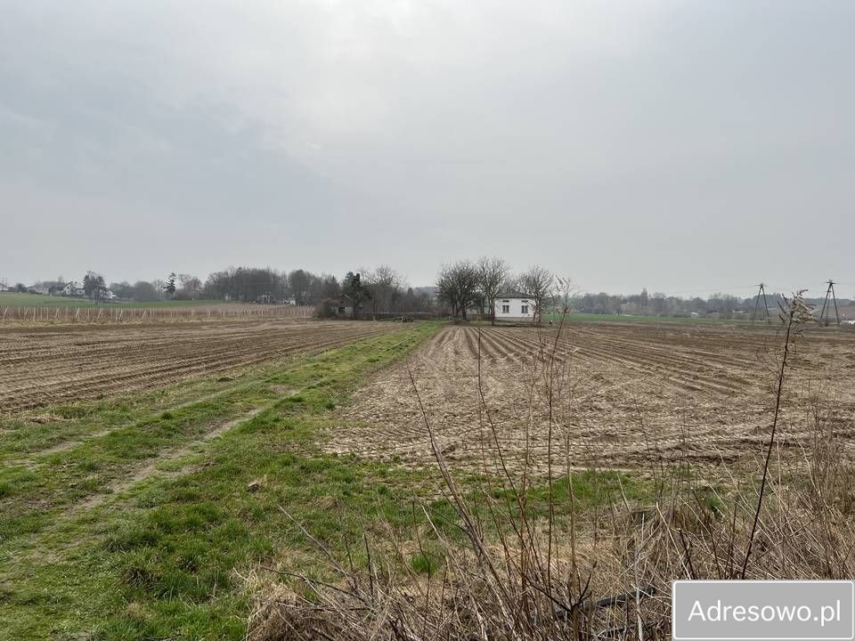 Działka siedliskowa Płonki. Zdjęcie 5