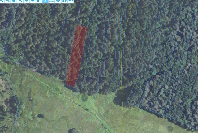 Działka leśna Łukawiec. Zdjęcie 1