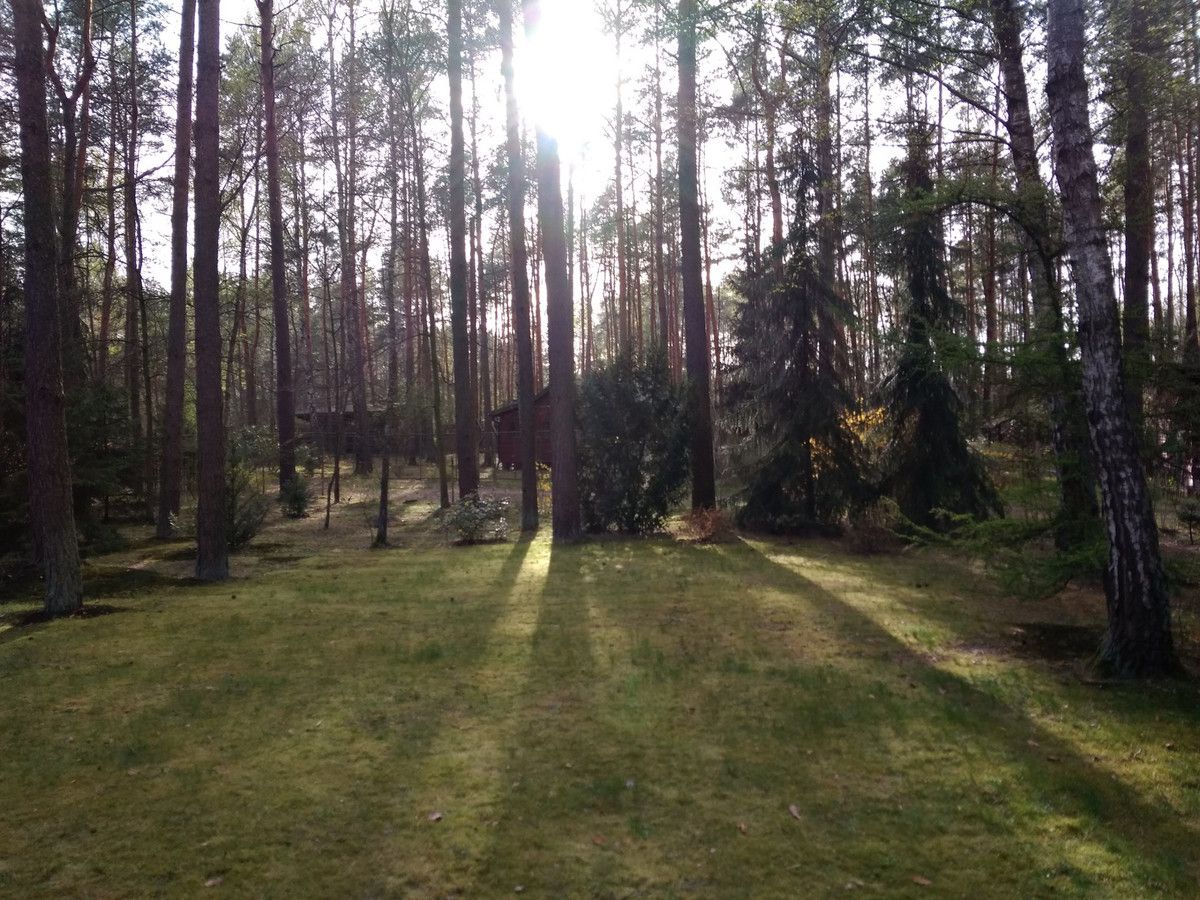 Działka budowlana Wieliszew, ul. Ptasia. Zdjęcie 4