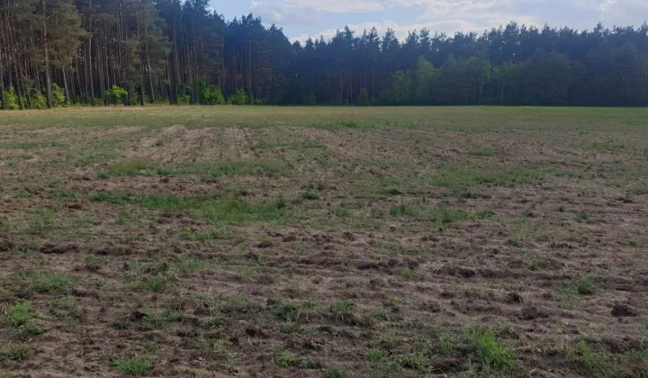 Działka budowlana Zielątkowo