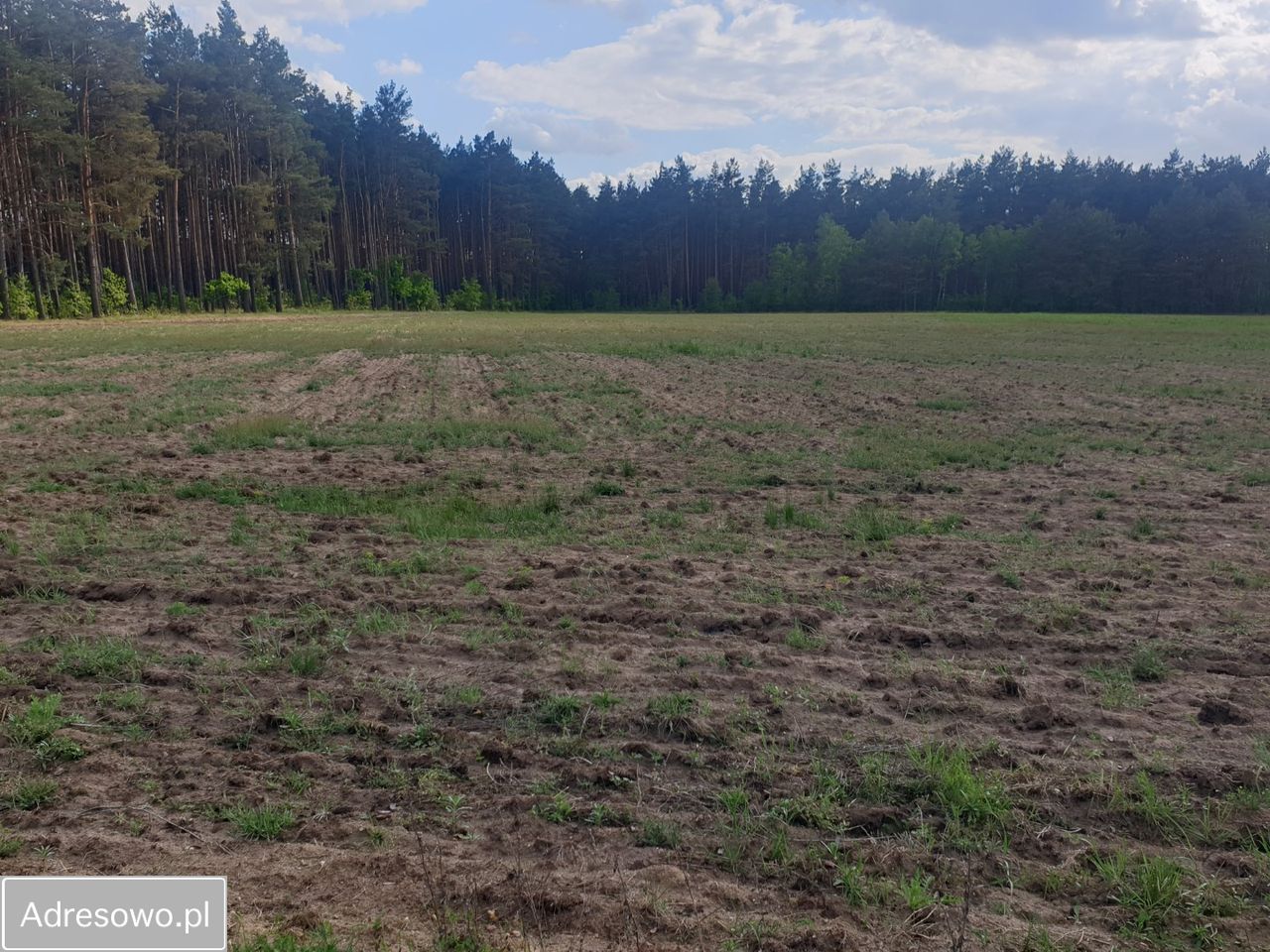 Działka budowlana Zielątkowo. Zdjęcie 1
