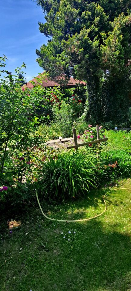 Działka rod Czeladź Piaski. Zdjęcie 7