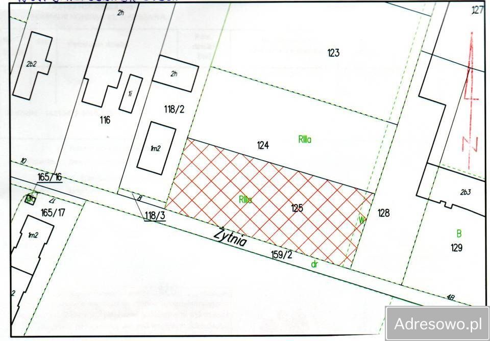 Działka inwestycyjna Reguły, ul. Żytnia. Zdjęcie 3