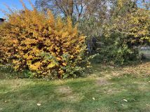 Działka budowlana Płoty, ul. Parkowa. Zdjęcie 1