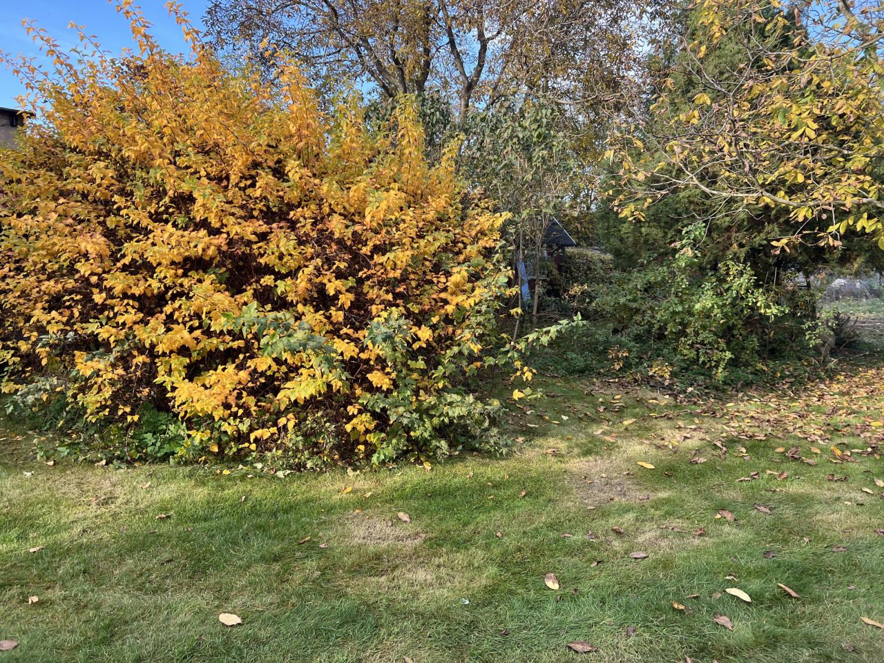 Działka budowlana Płoty, ul. Parkowa. Zdjęcie 2