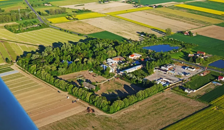 Działka rolna Bedlno