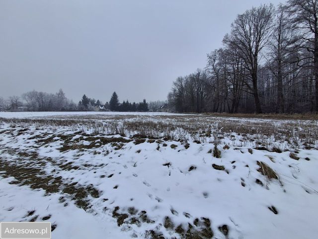 Działka budowlana Bielany, ul. Zamłynie. Zdjęcie 1