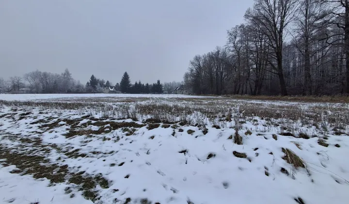 Działka budowlana Bielany, ul. Zamłynie