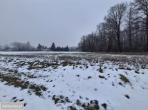 Działka budowlana Bielany, ul. Zamłynie