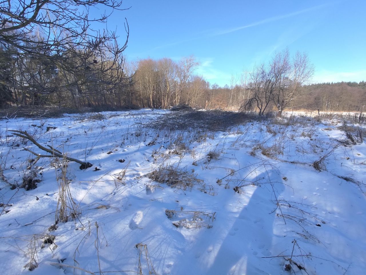 Działka budowlana Czapla. Zdjęcie 5