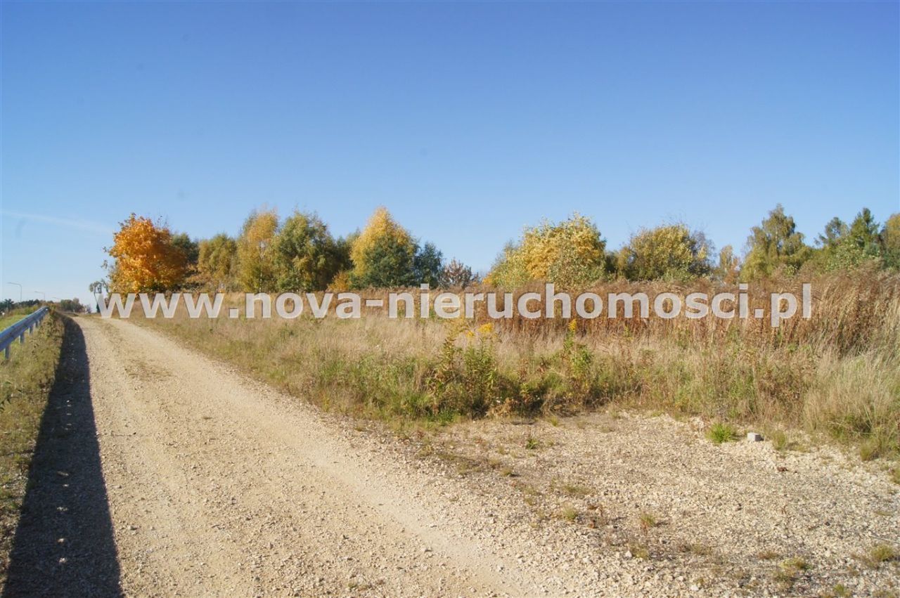 Działka inwestycyjna Rybnik Boguszowice. Zdjęcie 4