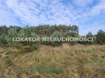 Działka budowlana Dobrzyca. Zdjęcie 4