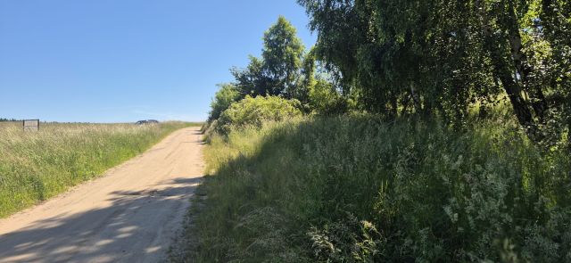 Działka rekreacyjna Sasino, ul. Stara Cegielnia. Zdjęcie 4