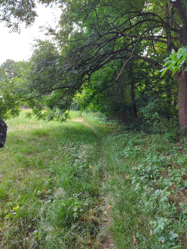 Działka budowlana Mąkoszyce. Zdjęcie 4