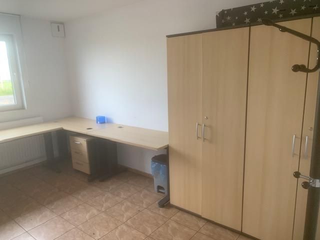 Działka inwestycyjna Chojna, ul. Polna. Zdjęcie 9