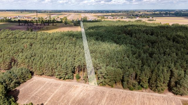 Działka leśna Maurzyce. Zdjęcie 2