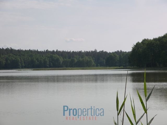 dom wolnostojący, 3 pokoje Natać Wielka. Zdjęcie 4