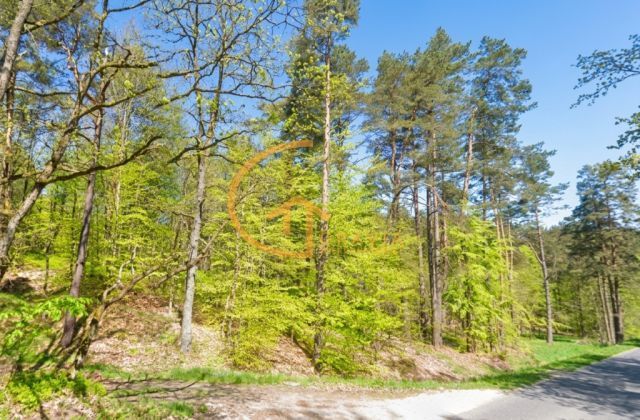 Działka inna Linia, ul. Długa. Zdjęcie 5