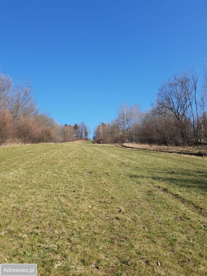 Działka inwestycyjna Konradów. Zdjęcie 13