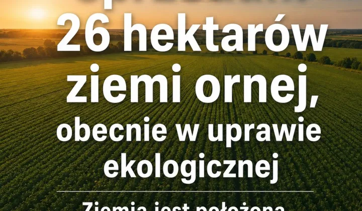 Działka rolna Barciany