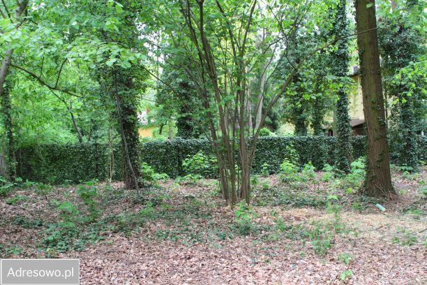 Działka budowlana Podkowa Leśna, ul. Wiewiórek. Zdjęcie 16