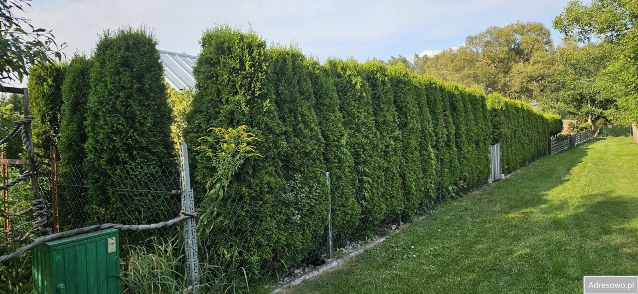 Działka rod Białystok. Zdjęcie 2