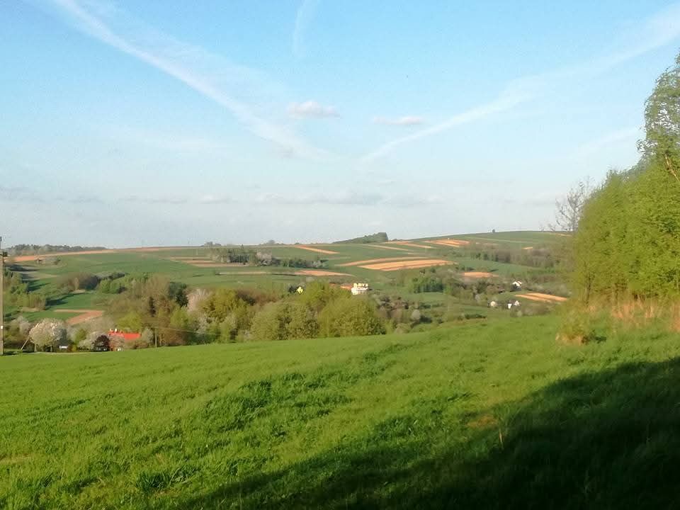 Działka rekreacyjna Handzlówka Dział, Kisówka. Zdjęcie 2