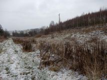 Działka rolna Pławna Dolna. Zdjęcie 4