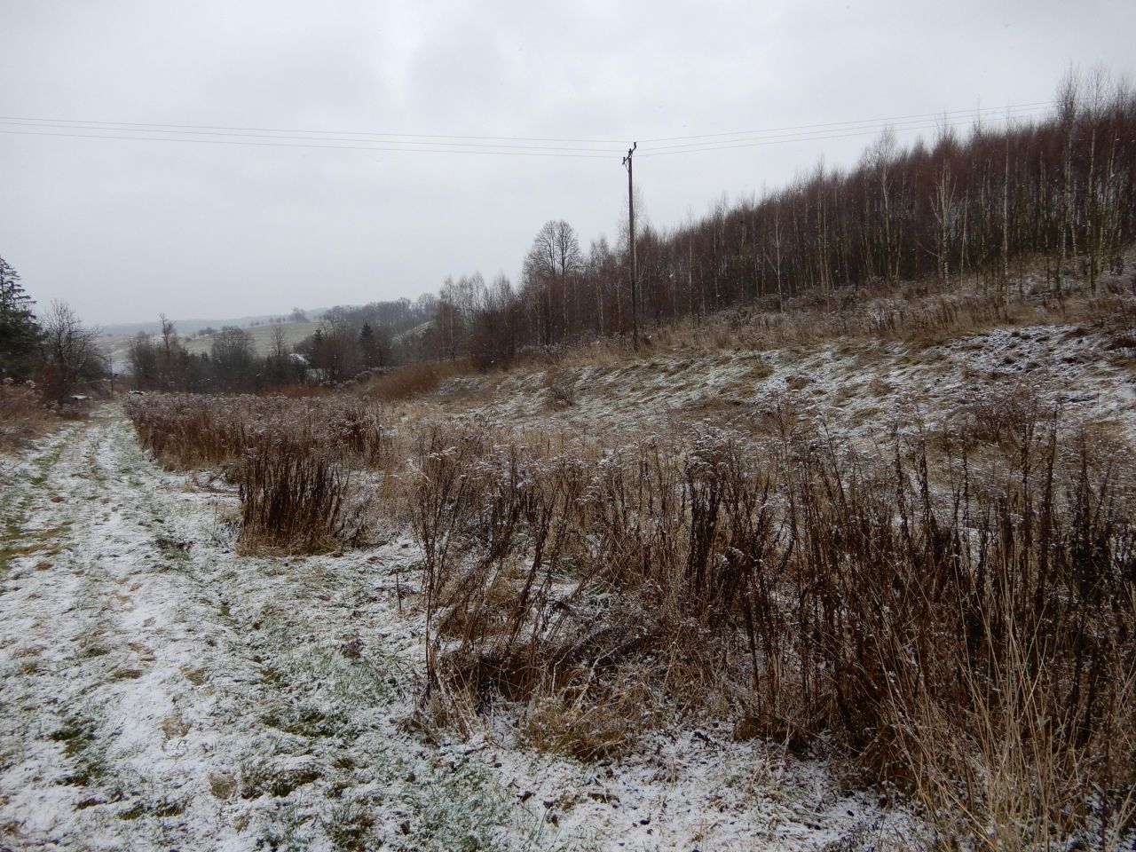 Działka rolna Pławna Dolna. Zdjęcie 5