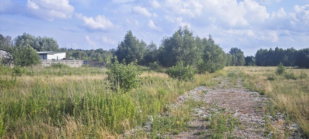 Działka budowlana Rżyska, ul. Urokliwa. Zdjęcie 1
