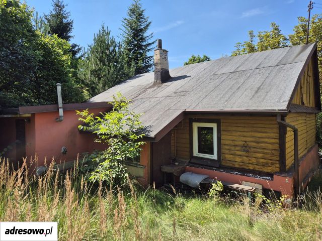 gospodarstwo Starachowice, ul. Iłżecka. Zdjęcie 1