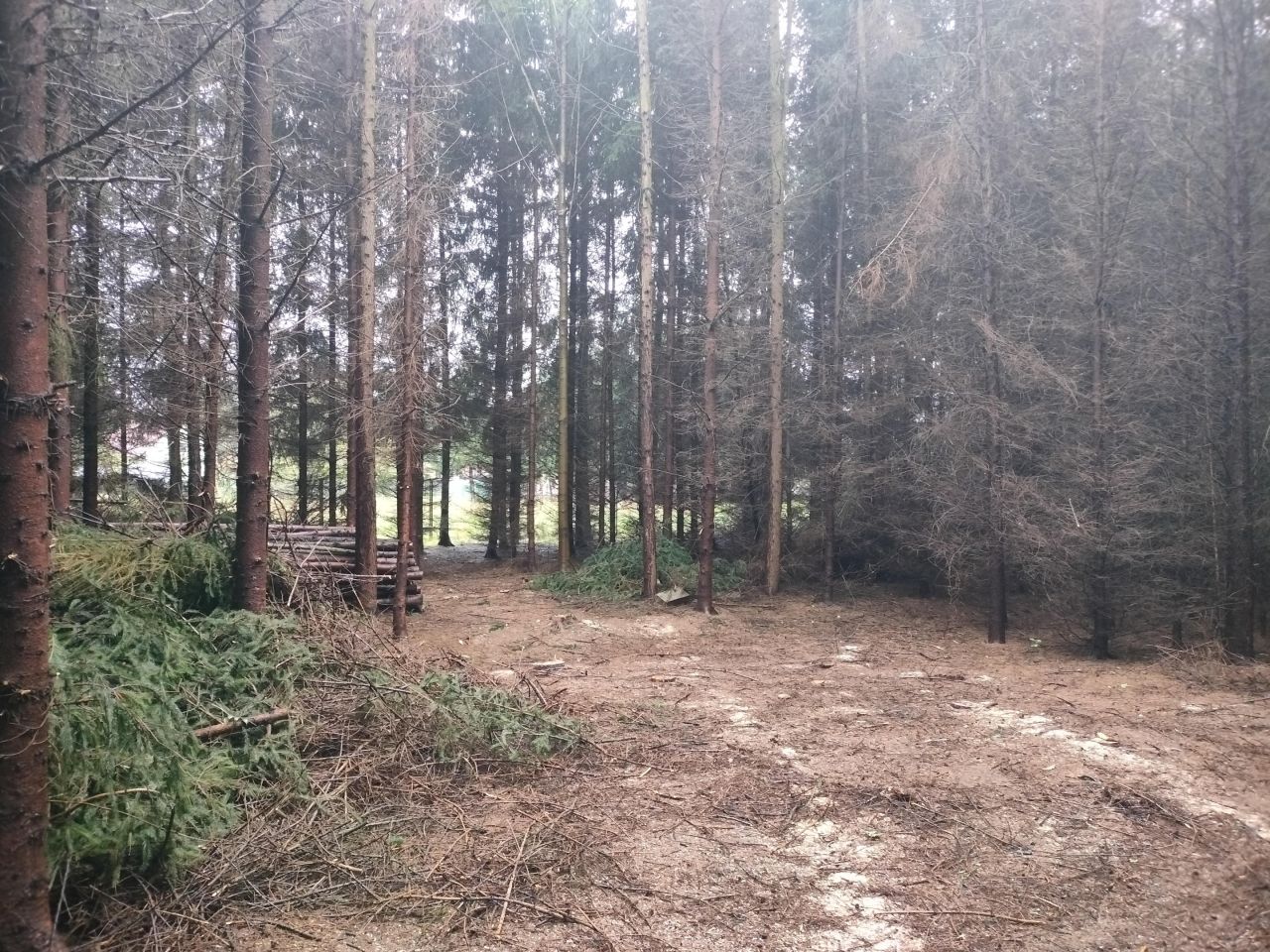 Działka budowlana Facimiech