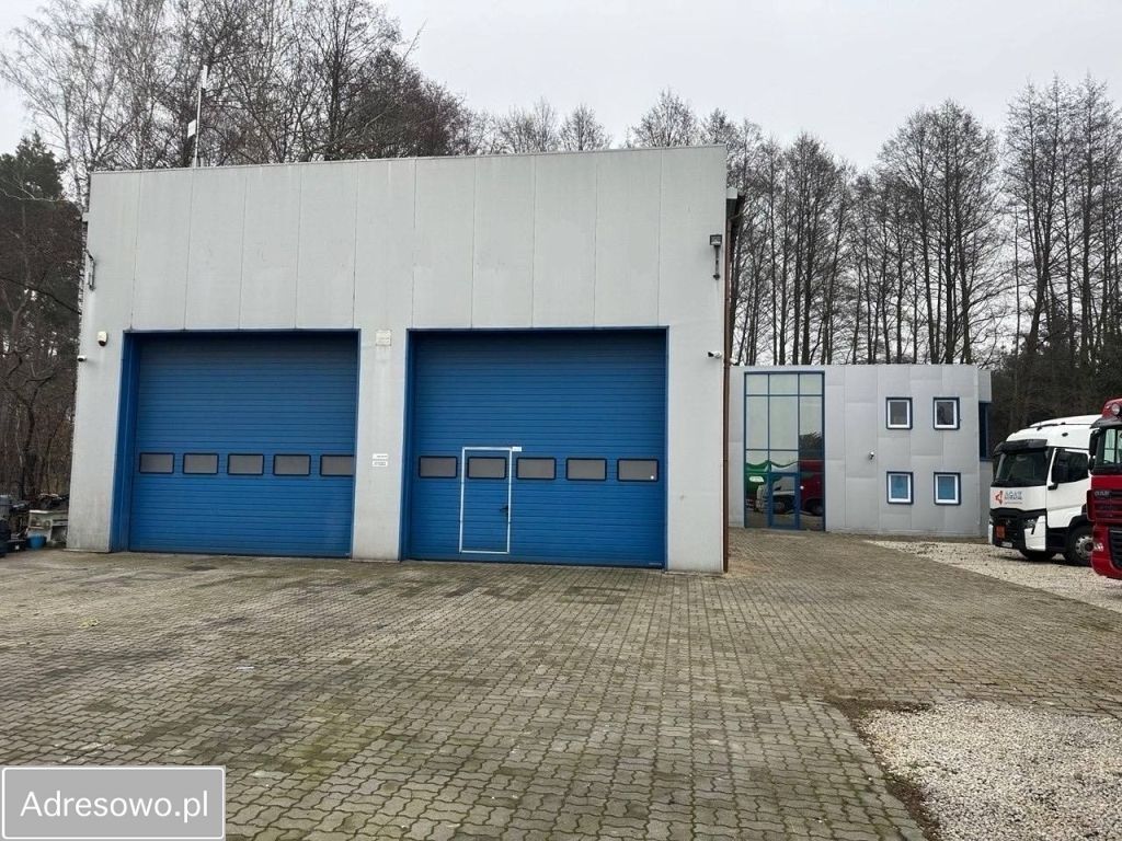 Hala/magazyn Łęg Witoszyn. Zdjęcie 19