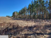 Działka budowlana Wasilków. Zdjęcie 3