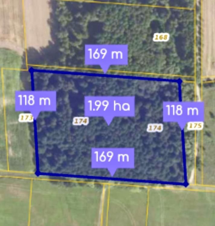 Działka leśna Iwanki Rohozy. Zdjęcie 2