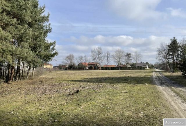 Działka rolno-budowlana Krzcin. Zdjęcie 1