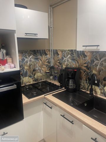 Działka rod Bydgoszcz Prądy, ul. Lisia. Zdjęcie 5