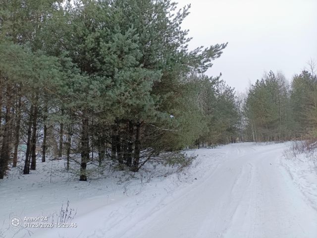 Działka rod Białystok Bagnówka, ul. Krzysztofa Pendereckiego. Zdjęcie 19
