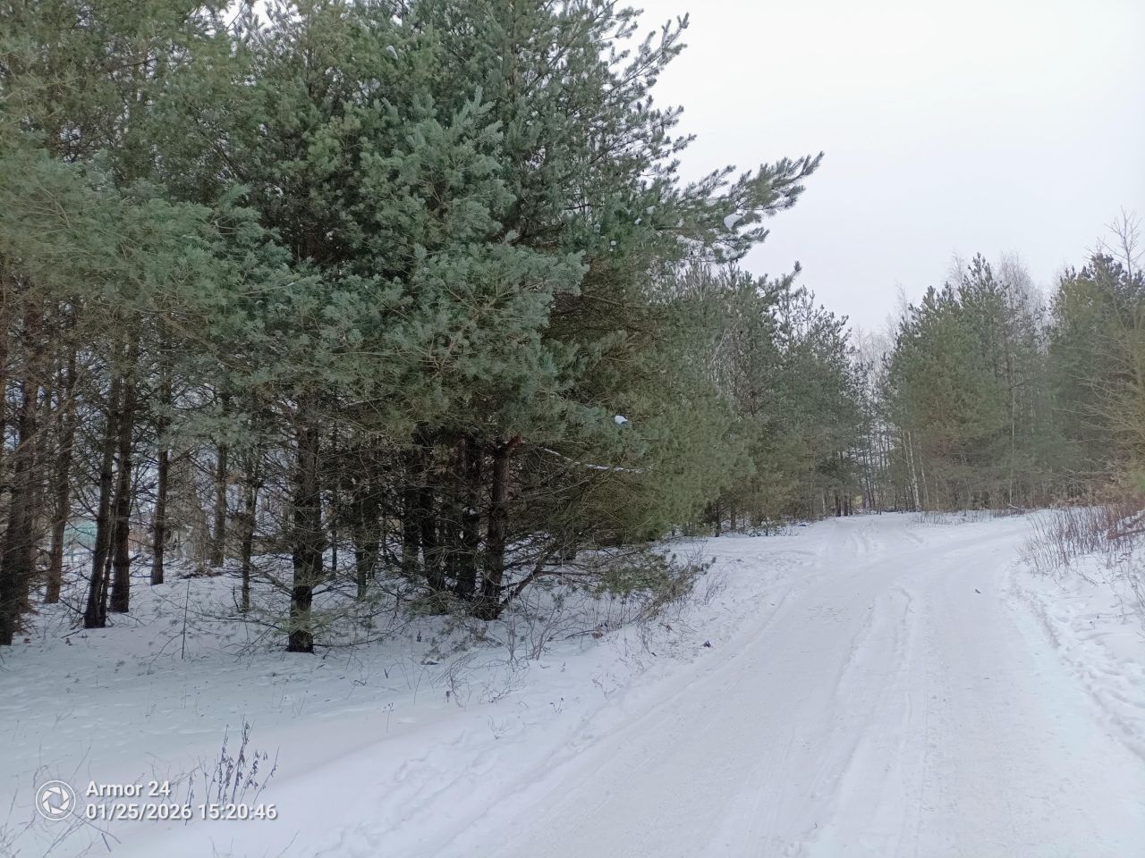 Działka rod Białystok Bagnówka, ul. Krzysztofa Pendereckiego. Zdjęcie 19